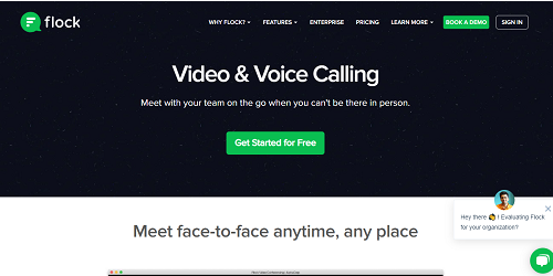 Flock - Best video conferenicng for small business